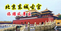 猛干美女小视频电影中国北京-东城古宫旅游风景区